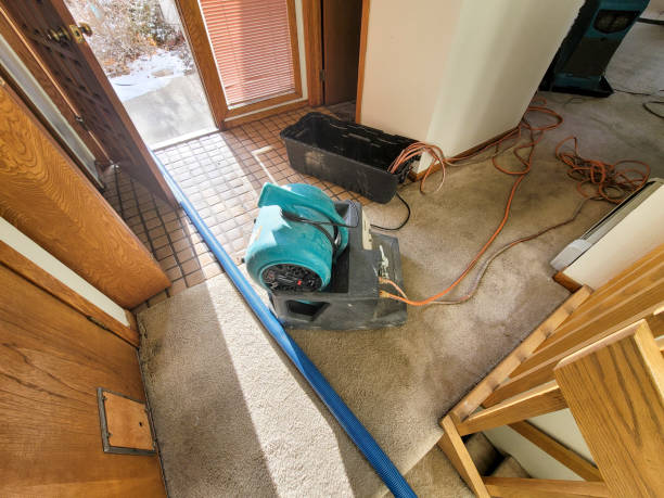 Best Basement water damage restoration  in Lake Lifornia, CA