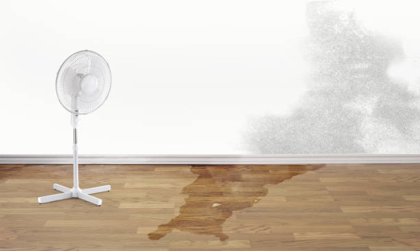 Best Basement water damage restoration  in Lake Lifornia, CA