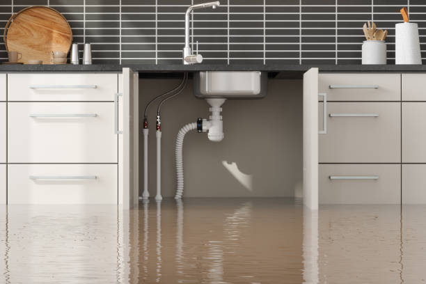 Best Mold removal after water damage  in Lake Lifornia, CA